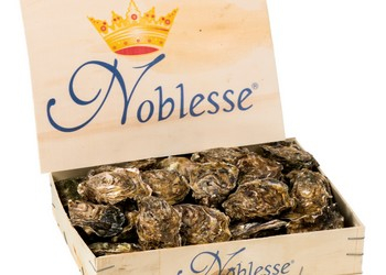 Noblesse ®